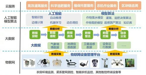 物聯(lián)網(wǎng)賦能 京藍(lán)科技引領(lǐng)農(nóng)業(yè)產(chǎn)業(yè)服務(wù)升級(jí)
